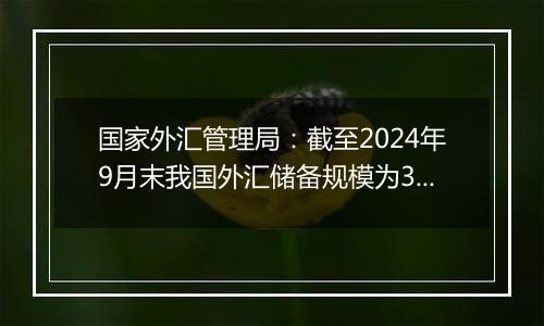 国家外汇管理局：截至2024年9月末我国外汇储备规模为33164亿美元