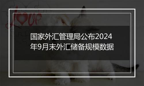 国家外汇管理局公布2024年9月末外汇储备规模数据