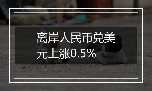 离岸人民币兑美元上涨0.5%