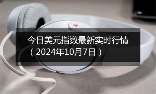 今日美元指数最新实时行情（2024年10月7日）