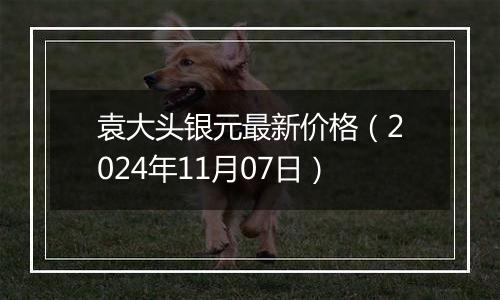 袁大头银元最新价格（2024年11月07日）