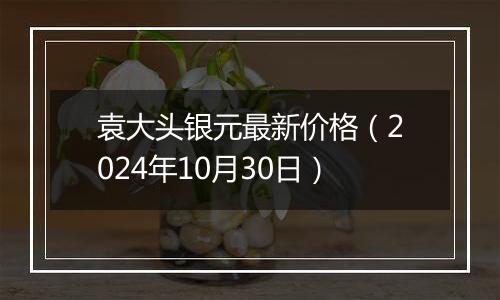 袁大头银元最新价格（2024年10月30日）