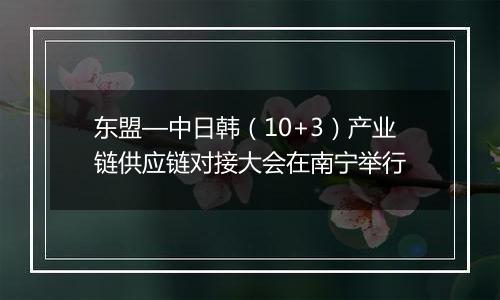 东盟—中日韩（10+3）产业链供应链对接大会在南宁举行