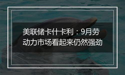 美联储卡什卡利：9月劳动力市场看起来仍然强劲