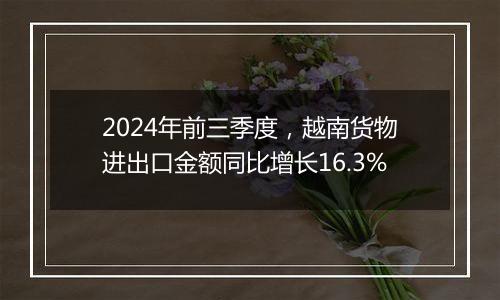 2024年前三季度，越南货物进出口金额同比增长16.3%