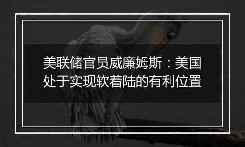 美联储官员威廉姆斯：美国处于实现软着陆的有利位置