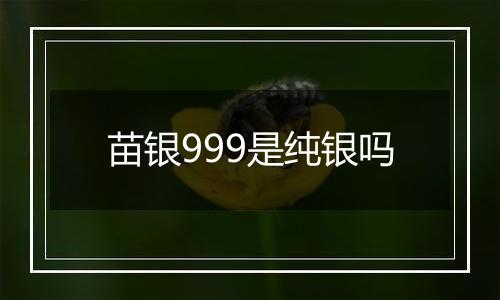 苗银999是纯银吗