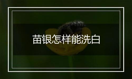 苗银怎样能洗白