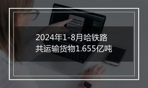 2024年1-8月哈铁路共运输货物1.655亿吨