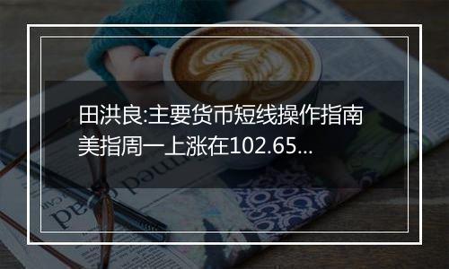 田洪良:主要货币短线操作指南 美指周一上涨在102.65之下遇阻