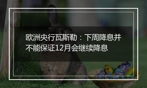 欧洲央行瓦斯勒：下周降息并不能保证12月会继续降息