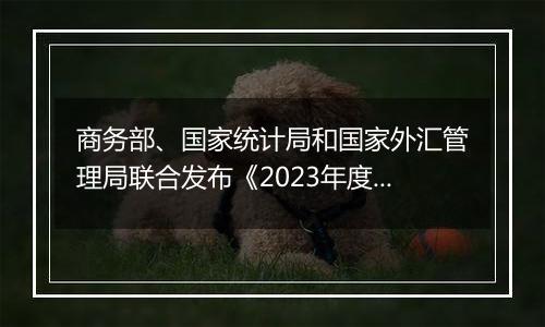 商务部、国家统计局和国家外汇管理局联合发布《2023年度中国对外直接投资统计公报》