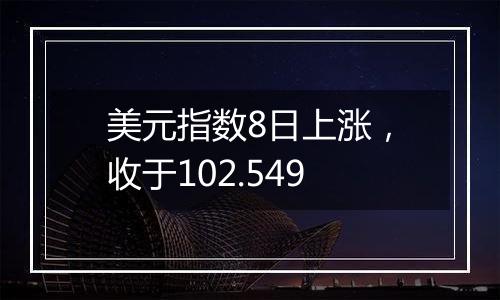 美元指数8日上涨，收于102.549