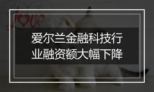 爱尔兰金融科技行业融资额大幅下降