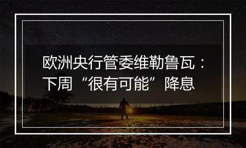 欧洲央行管委维勒鲁瓦：下周“很有可能”降息