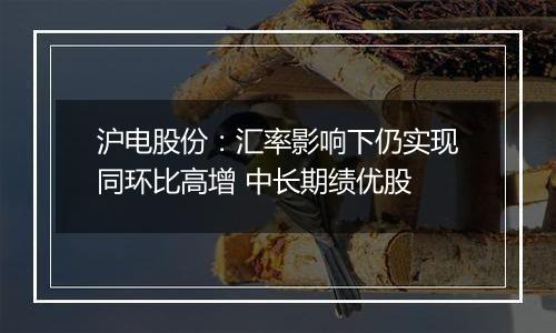 沪电股份：汇率影响下仍实现同环比高增 中长期绩优股