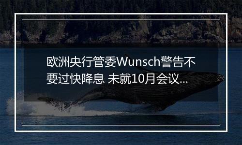 欧洲央行管委Wunsch警告不要过快降息 未就10月会议拿定主意