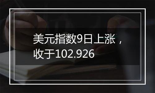 美元指数9日上涨，收于102.926