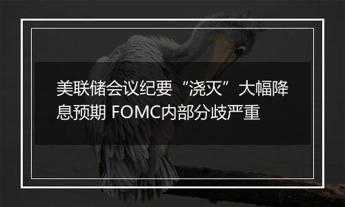 美联储会议纪要“浇灭”大幅降息预期 FOMC内部分歧严重