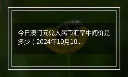 今日澳门元兑人民币汇率中间价是多少（2024年10月10日）