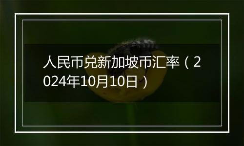 人民币兑新加坡币汇率（2024年10月10日）