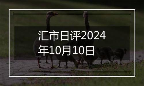 汇市日评2024年10月10日