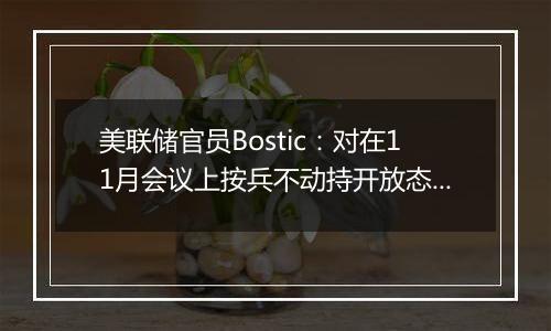 美联储官员Bostic：对在11月会议上按兵不动持开放态度