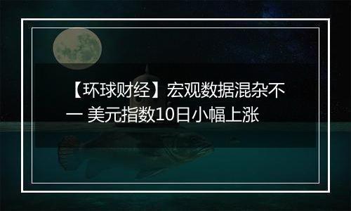 【环球财经】宏观数据混杂不一 美元指数10日小幅上涨