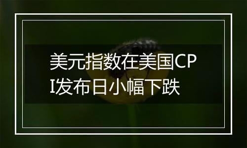 美元指数在美国CPI发布日小幅下跌