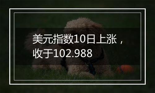 美元指数10日上涨，收于102.988