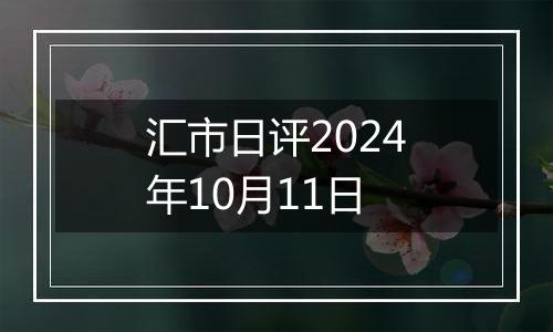 汇市日评2024年10月11日