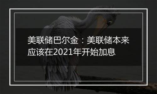 美联储巴尔金：美联储本来应该在2021年开始加息