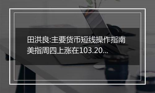 田洪良:主要货币短线操作指南 美指周四上涨在103.20之下遇阻