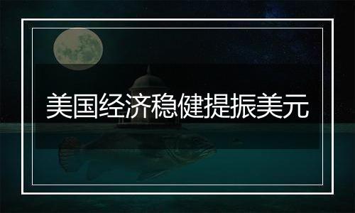 美国经济稳健提振美元