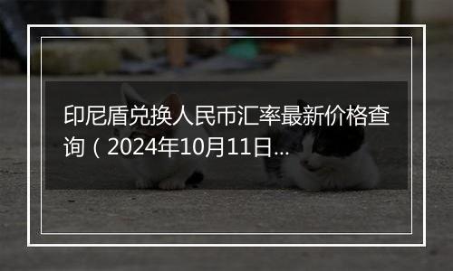 印尼盾兑换人民币汇率最新价格查询（2024年10月11日）