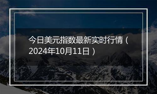 今日美元指数最新实时行情（2024年10月11日）