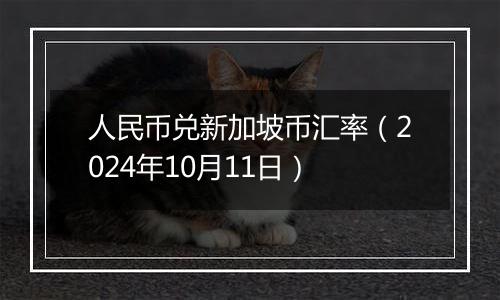 人民币兑新加坡币汇率（2024年10月11日）