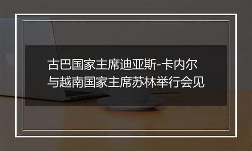 古巴国家主席迪亚斯-卡内尔与越南国家主席苏林举行会见