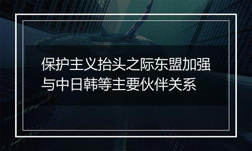 保护主义抬头之际东盟加强与中日韩等主要伙伴关系