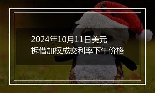 2024年10月11日美元拆借加权成交利率下午价格