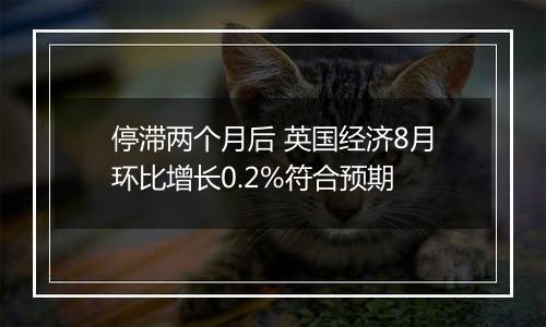 停滞两个月后 英国经济8月环比增长0.2%符合预期