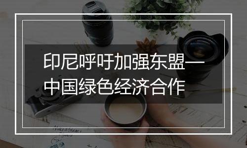 印尼呼吁加强东盟—中国绿色经济合作