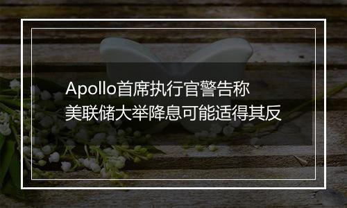 Apollo首席执行官警告称美联储大举降息可能适得其反