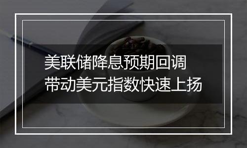 美联储降息预期回调 带动美元指数快速上扬