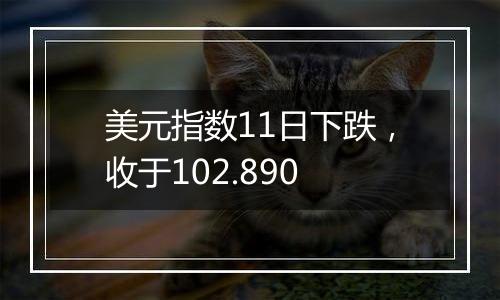 美元指数11日下跌，收于102.890