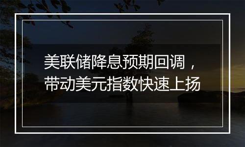 美联储降息预期回调，带动美元指数快速上扬