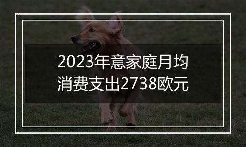 2023年意家庭月均消费支出2738欧元