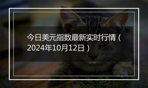 今日美元指数最新实时行情（2024年10月12日）