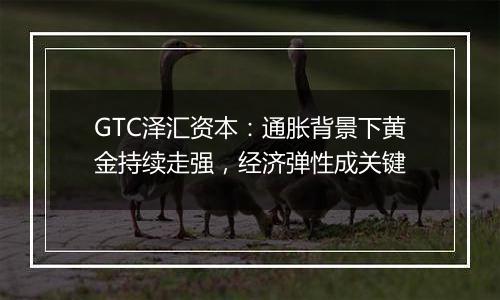 GTC泽汇资本：通胀背景下黄金持续走强，经济弹性成关键