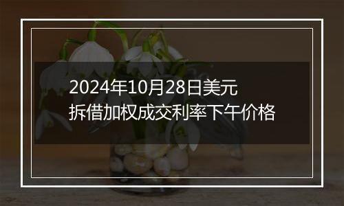 2024年10月28日美元拆借加权成交利率下午价格